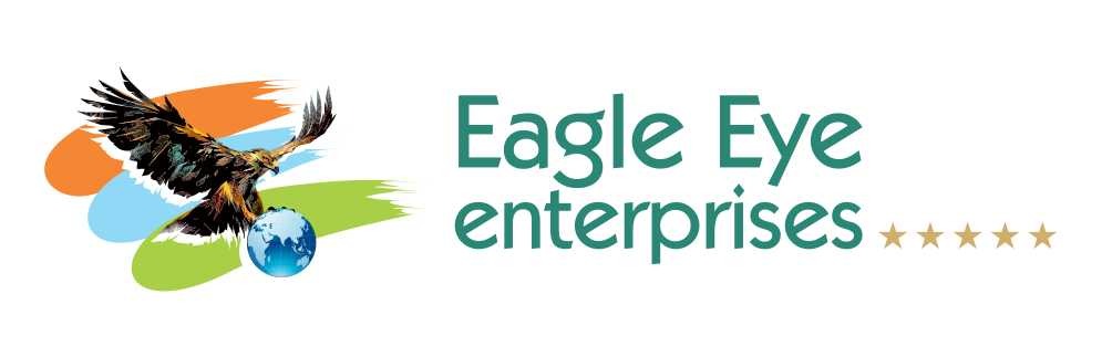 NEW LOGO-EAGLE EYE
